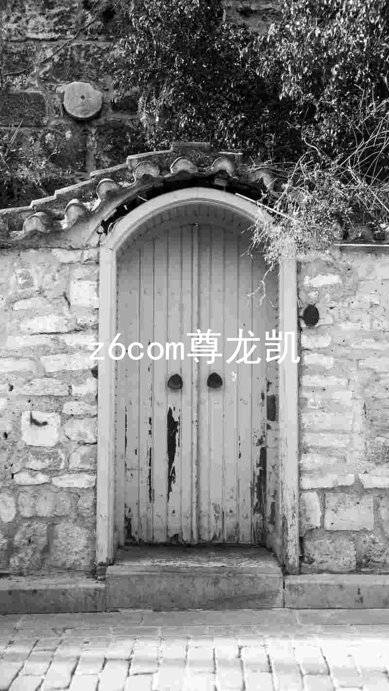 z6com尊龙凯